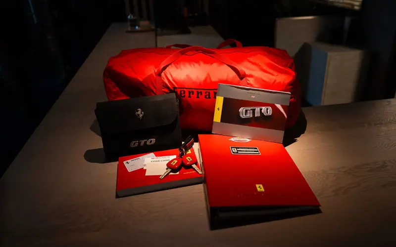 Ferrari 599 GTO * EU CAR * ROLL BAR * FERRARI CLASSICHE *  - 131926